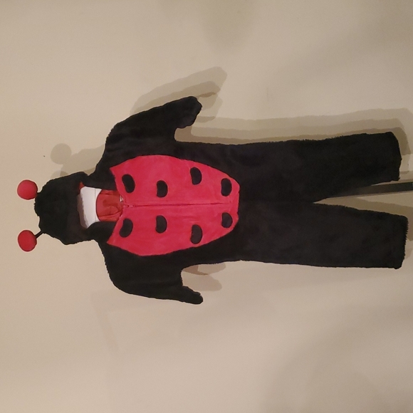 LADY BUG FULL BODY COSTUME FOR SMALL CHILD  SIZE SMALL - Picture 1 of 4